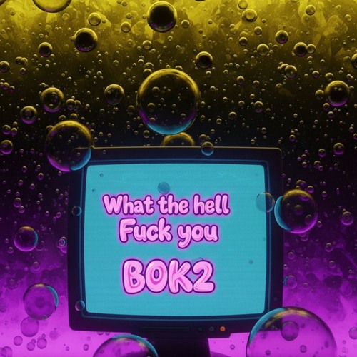 What The Hell? , Fuck You BOK2!