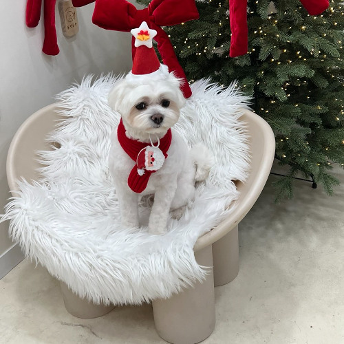 [EDMKOREA.COM] 돌고돌고돌아 🪐 (제니 시리즈 믹셋 EP06_Santa Jenny)