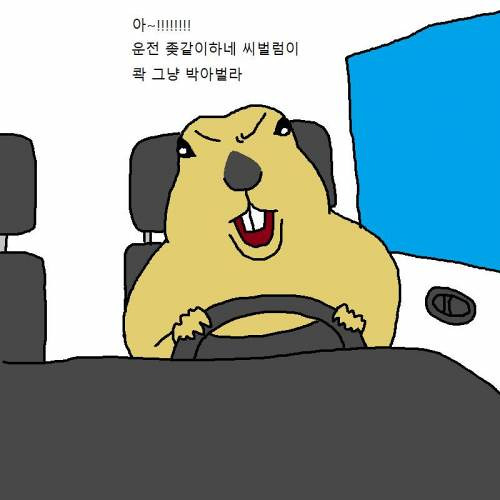 운전 참 좆같이 하시네요 ♥️