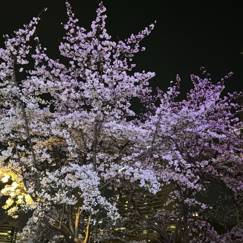 2026 믿고듣는 이쁜 노래 믹셋:)