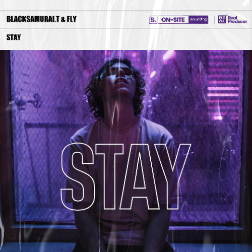 BlackSamurai.T黑武士 & Fly - Stay（Remix）