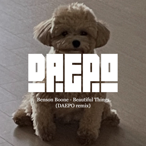 Benson Boone - Beautiful Things (DAEPO remix)